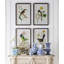 Summer Bird Framed Prints