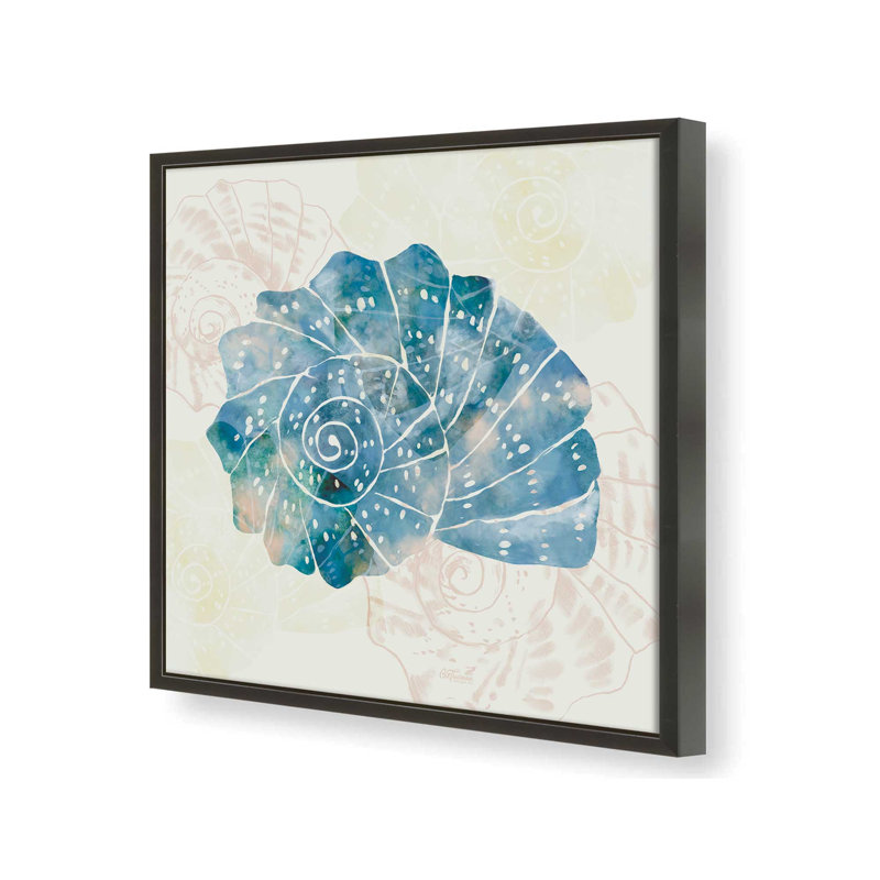 «Blue & White Spiral Shell» par Cat Thurman Designs, reproduction d'art, L 36 x H 36, Noir, Impression encadrée