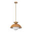 Luminaire suspendu 1 lumière Byrone-1330090101