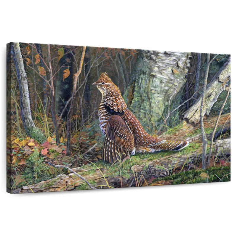 Brampt Drummer Boy - Grouse, 16" H x 24" W