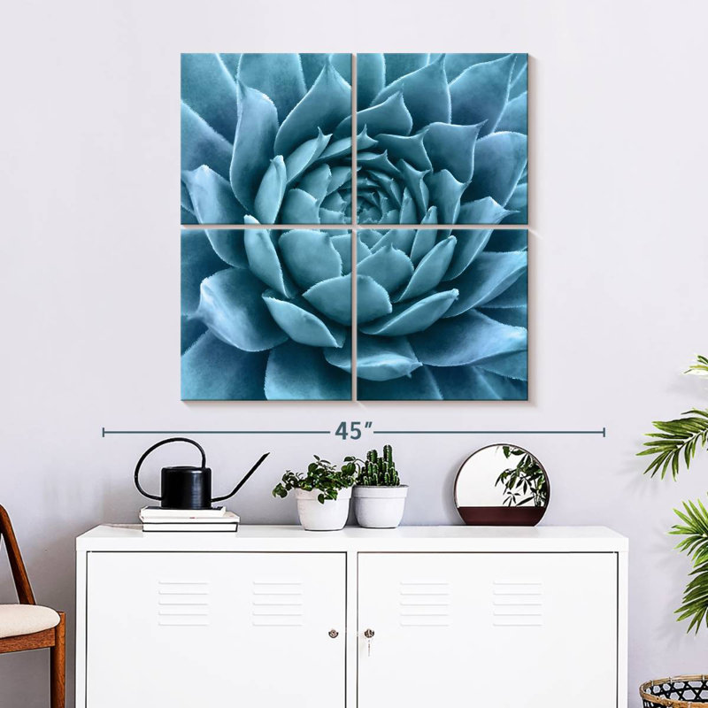 Agave bleu argenté Harnek, H 32 po x l 32 po