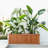 Barros Outdoor Wood Planter Box-2102627043-2088857658