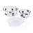 Glass Food Storage - Set of 2 Containers and 2 Lids