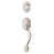 Satin Nickel