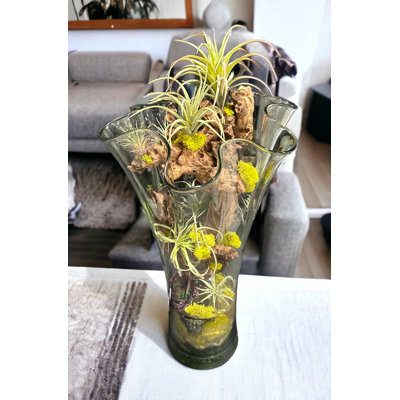 Succulent Design on Clear Tall Glass Vase | Succulent Vase with Succulents | Housewarming Gifts