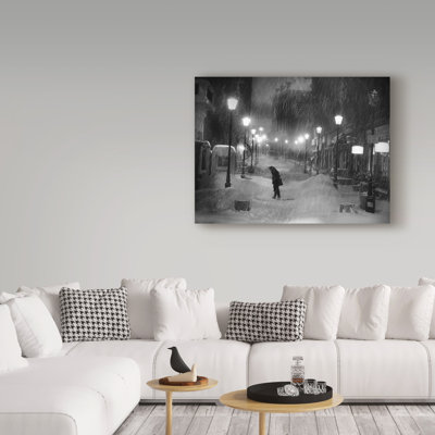 Hoya «Tombe La Neige I», reproduction de photo sur toile tendue