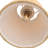 Amanda Lindroth Downtown Sconce