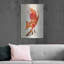 "Vulpes Vulpes" par Robert Farkas-1713724993