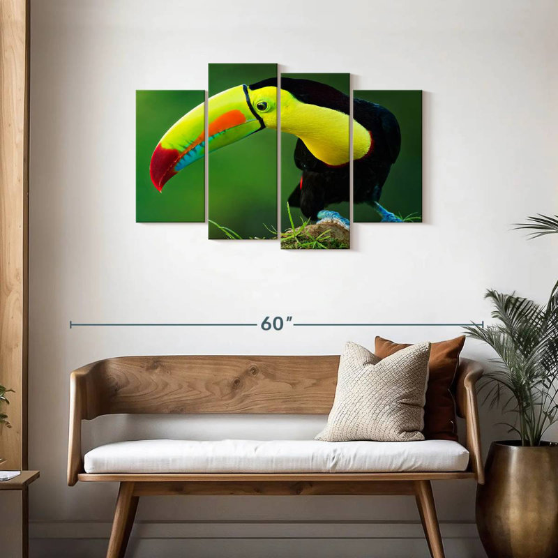 Toucan Brampt