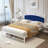 Metal Blue Queen Bed With Velvet Upholstered Headboard, Storage-351302581