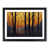 Black Framed selected