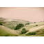 Tinted Landscape 5 Print by THE Studio