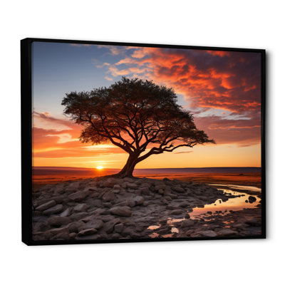 " Peach Black Maasai Mara National Reserve Sunset "