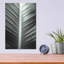 «Leaf Lines» par Donnie Quillen-2127641966