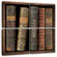 Kerner dans la bibliothèque II