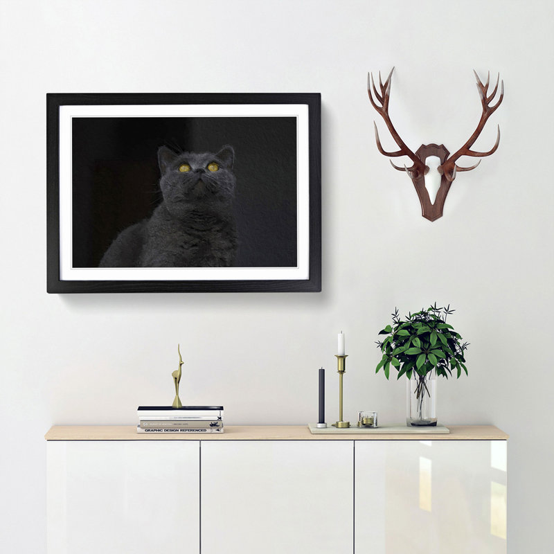British Shorthair Cat in the Shadows - Picture Frame Painting Print, 48cm H x 65cm W x 2cm D, Black Framed