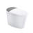 Built-in Water Tank Smart Toilet,Auto Flush, Heated Seat With Multiple Wash Function And Night Light(Remote Included)