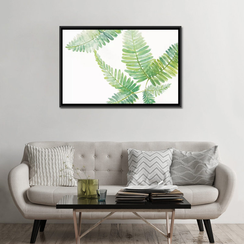 « ferns ii », reproduction d’art sur toile tendue, H 18 po x l 26 po x P 1,5 po, Toile avec cadre noir, Pas de tapis