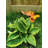 Staten Metal Animals Garden Stake
