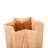 Linnet Grooved Vase- Tall