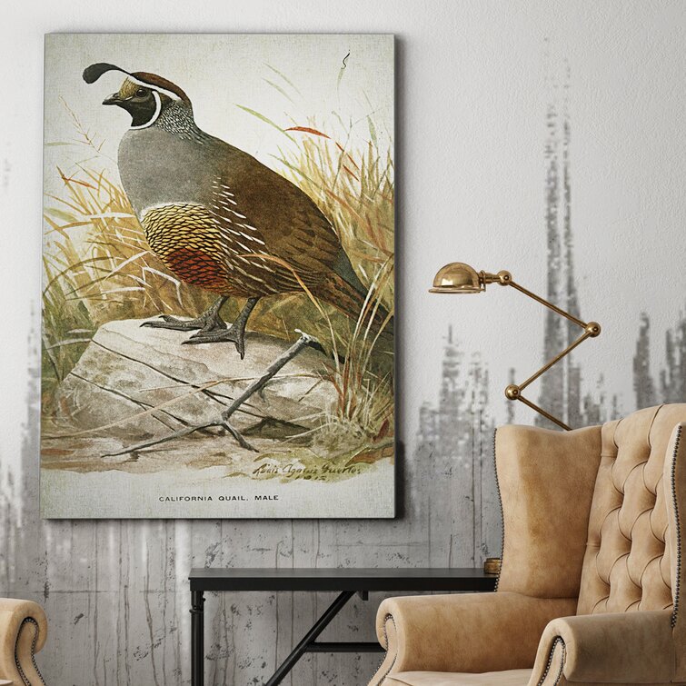 Alcott Hill® Aviary Drawing III On Canvas Print | Wayfair