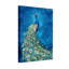 Paon de Noël avec plumes vibrantes et fond bleu, ensemble de 3 impressions sur toile-1049364293