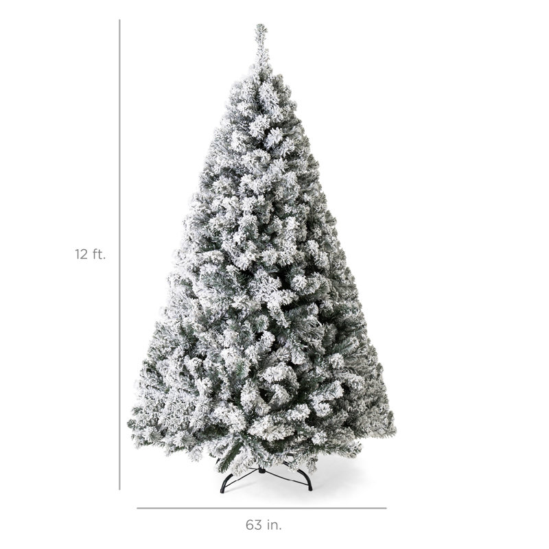 Lighted Christmas Tree