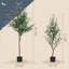 Faux Olive Tree Tree in Pot-72066409