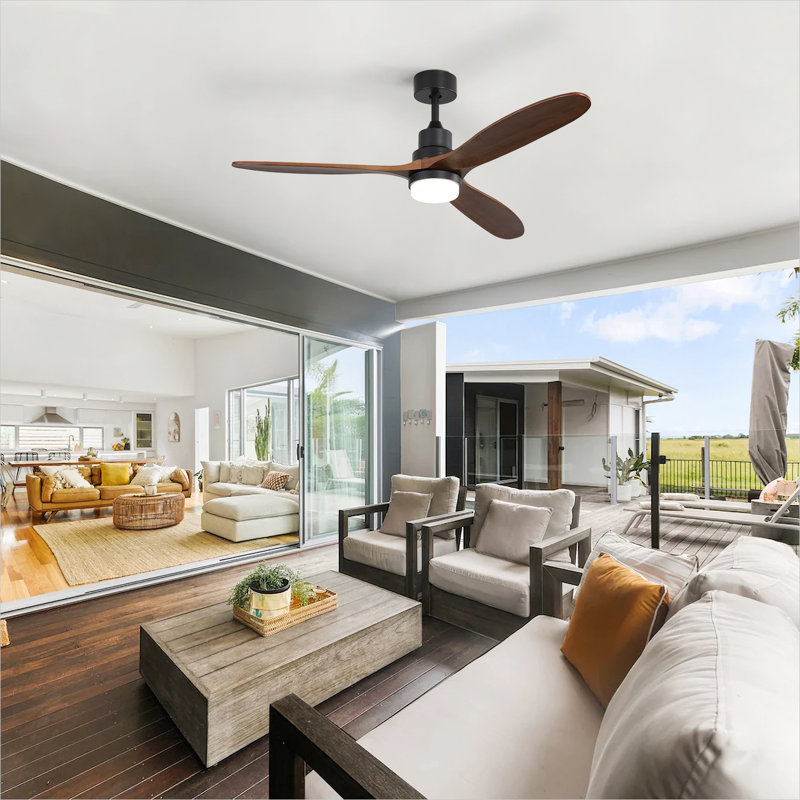 Ceiling Fan
