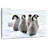 Brampt Charming Penguin Chicks-108817276