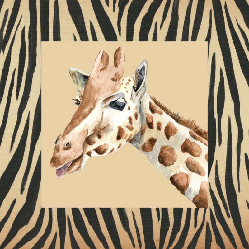 Safari II, H 12 po x l 12 po