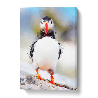 Lone Atlantic Puffin - Wrapped Canvas Print