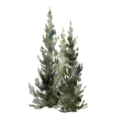" Simple Evergreens I " Painting Print