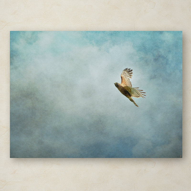 «Up Up and Away Red Épaule Hawk», impression sur toile tendue Vidur, H 18 po x l 24 po