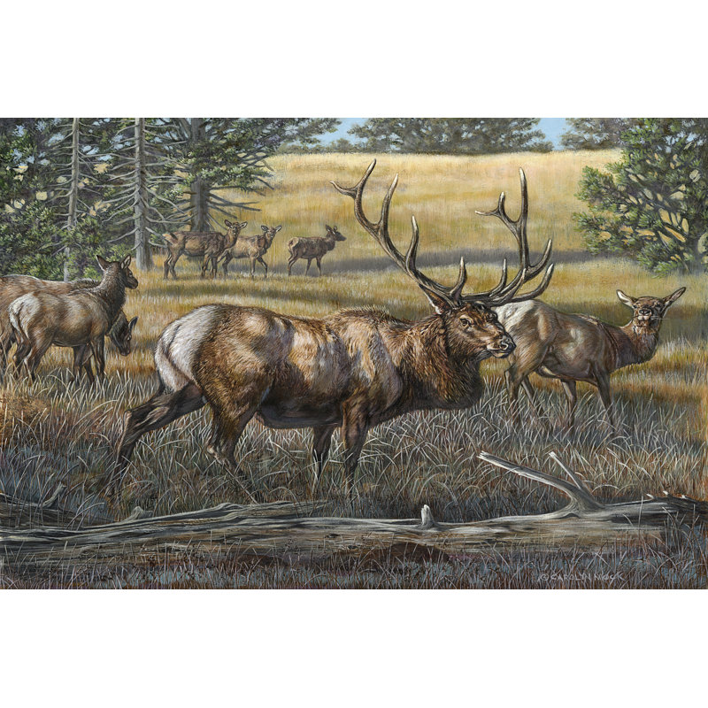 His Majesty by Carolyn Mock - Wrapped Canvas Print, 30cm H x 46cm W x 3.8cm D