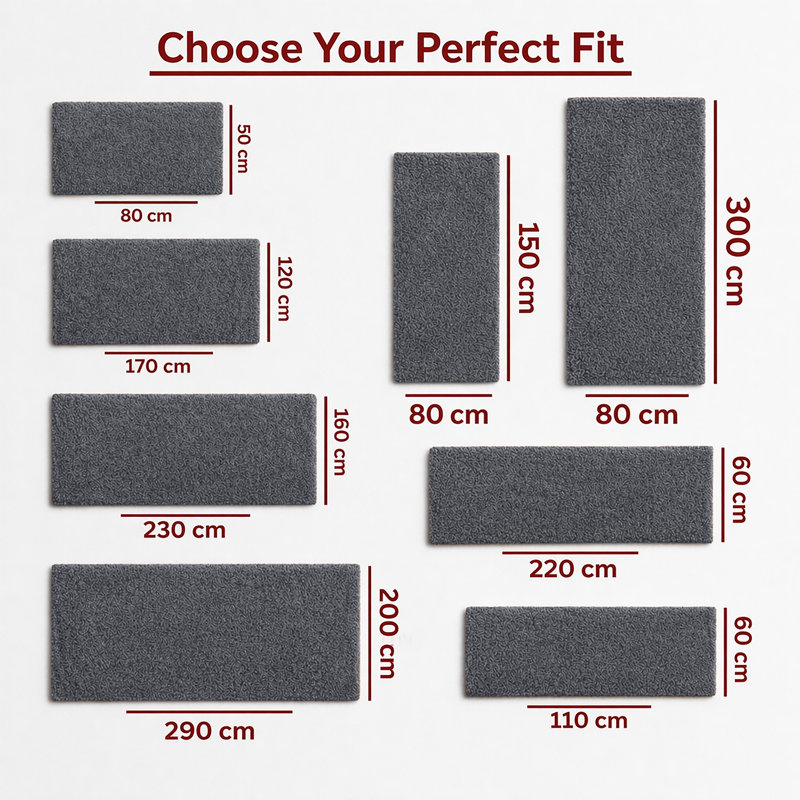 Aspire Homeware Charcoal Grey Shaggy Area Rug Soft Plush Indoor Carpet, Rectangle 60cm Width X 110cm Length
