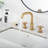 Widespread 2-handle Bathroom Faucet with Drain Assembly-81641109
