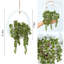 Burgal Hanging Planter-1863003218