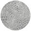 Tapis Colwart-109580897