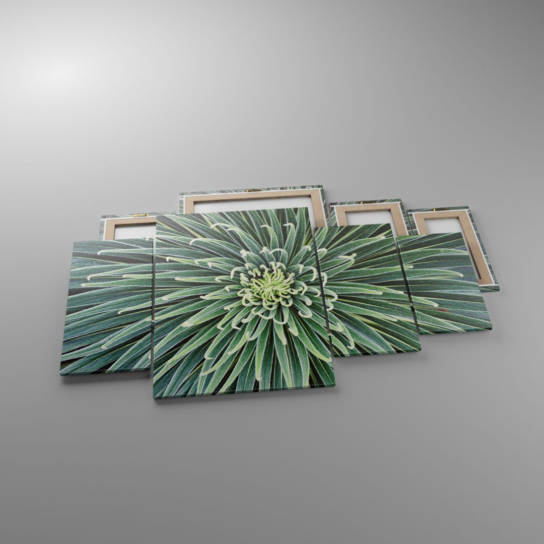 4-tlg. Leinwandbilder-Set Agave Green Plant