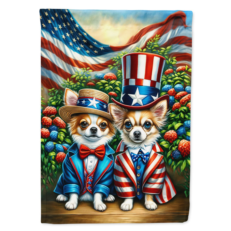 Drapeau «All American House», Chihuahua