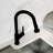 Karran Scottsdale Single Handle Pull Down Sprayer Kitchen Faucet-102930728