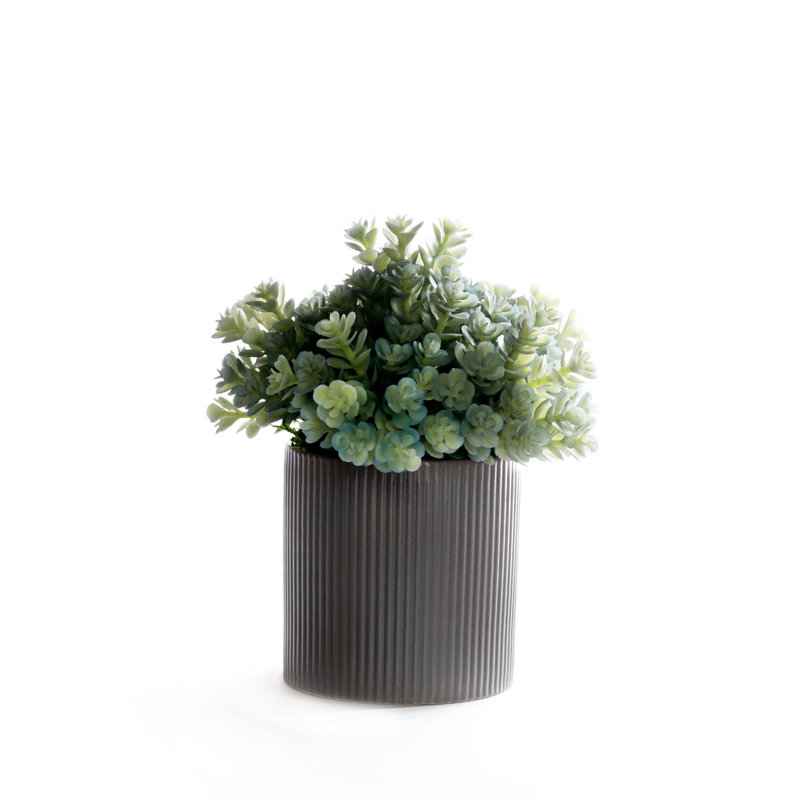 Faux Succulent Plant in Ceramic Planter