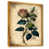 Toile avec cadre flottant or