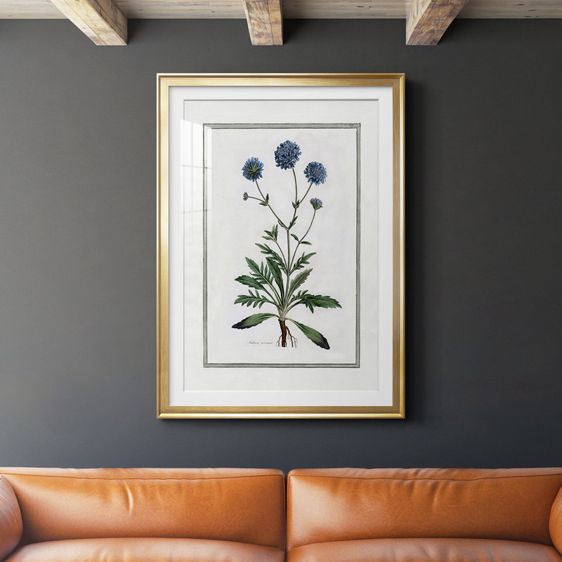 «Soft Botanical II», reproduction encadrée de qualité supérieure - prête à être accrochée, Cadre doré