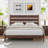 Pine Solid Wood Standard Bed-427165195-427165194
