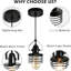 Luminaire industriel à cage métallique - Ampoule E26 rétro réglable à intensité variable illuminant votre chambre à coucher salon avec une touche de style noir mat classique