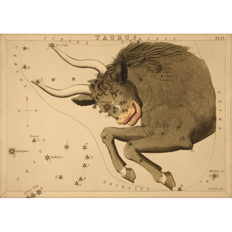 Taureau par Grand archives - reproduction encadrée d'une seule photo sur papier, Cadre noir, H 32 po x l 45 po