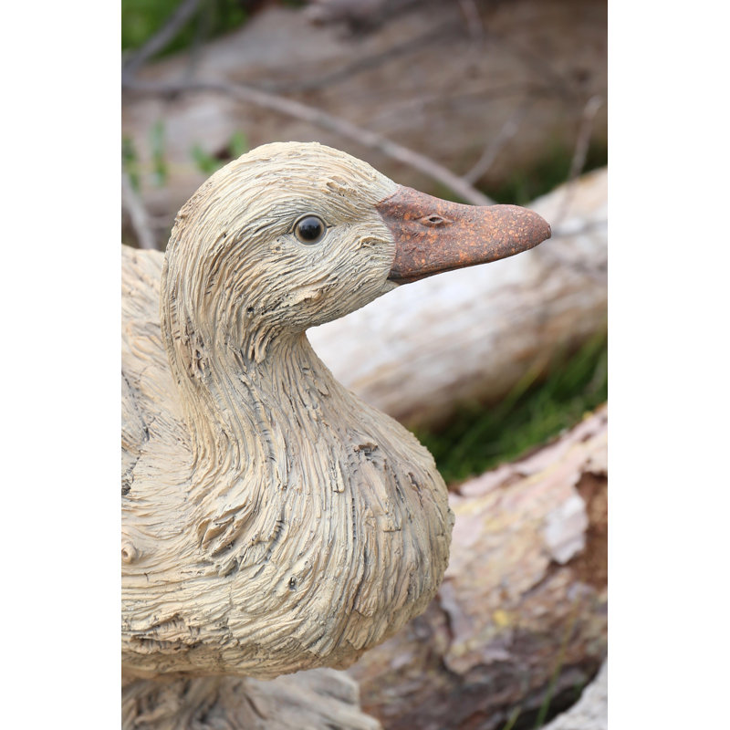 LOOK DE BOIS FLOTTANT CANARD