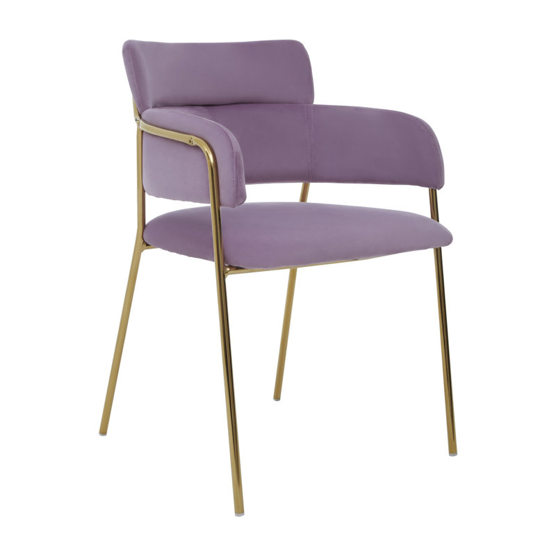 Elsberry 46cm H Velvet Upholstered Armchair, Gold, Pink